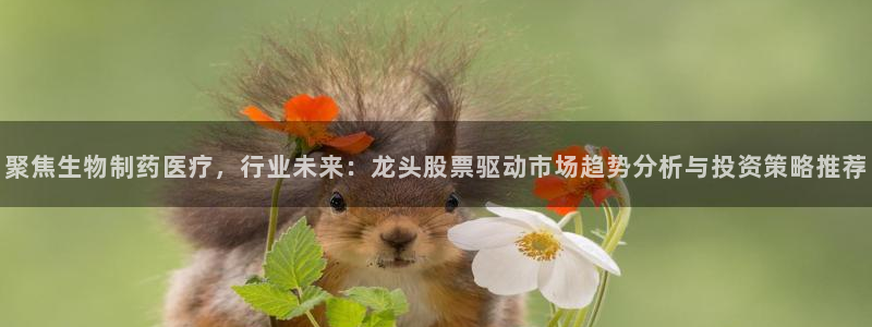 门徒娱乐成功案例分享