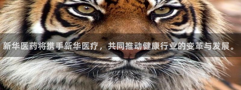 门徒娱乐怎么挂机的
