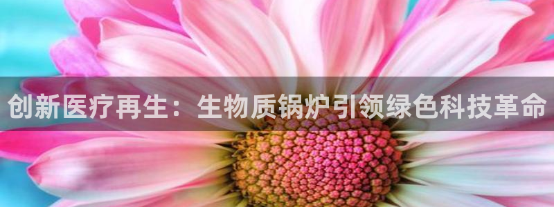 门徒娱乐官方地址查询