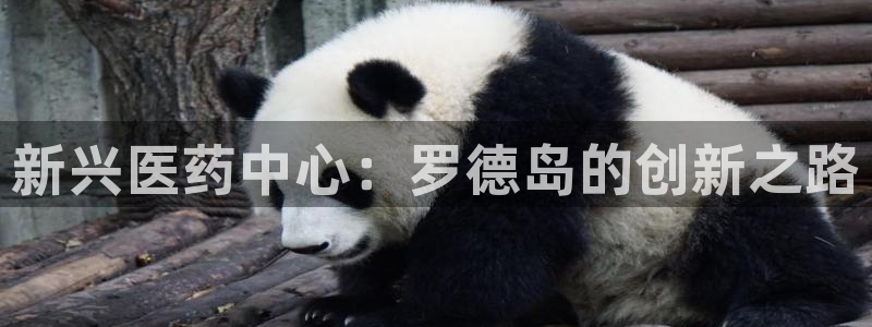 门徒娱乐怎么登录不了