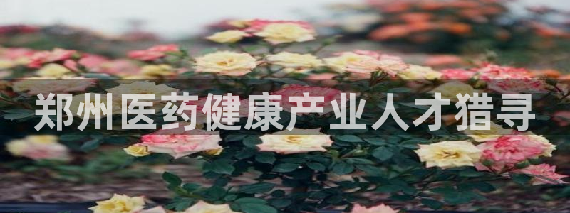 门徒娱乐多长时间了