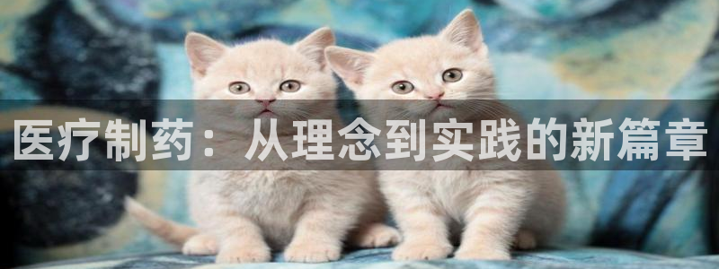 门徒娱乐代理注册官网