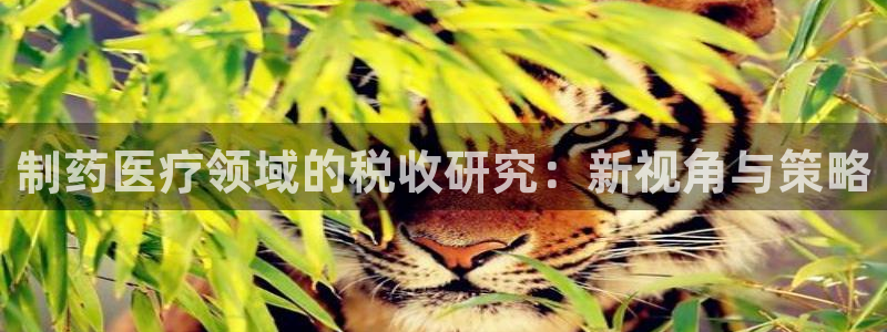 门徒娱乐网站官网首页