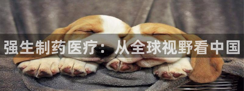 门徒娱乐网站下载安装