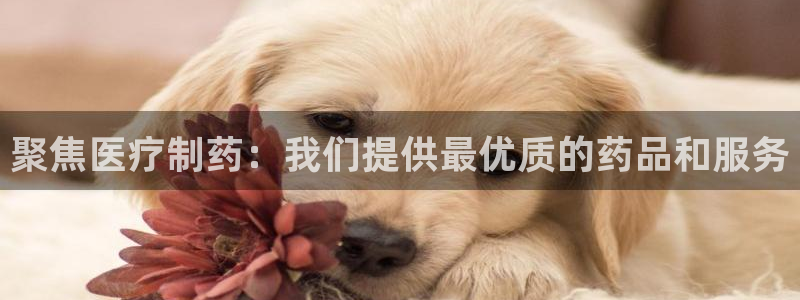 娱乐门徒小说免费下载