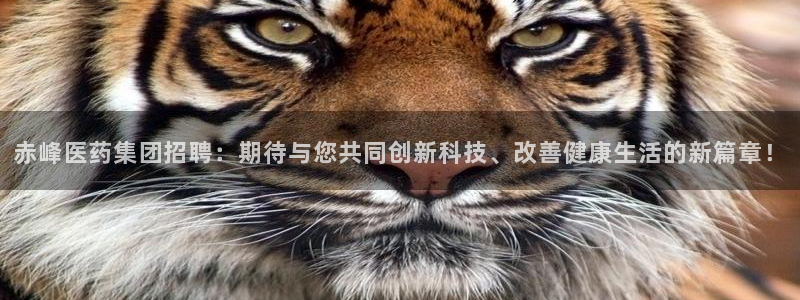 门徒娱乐网站官网下载