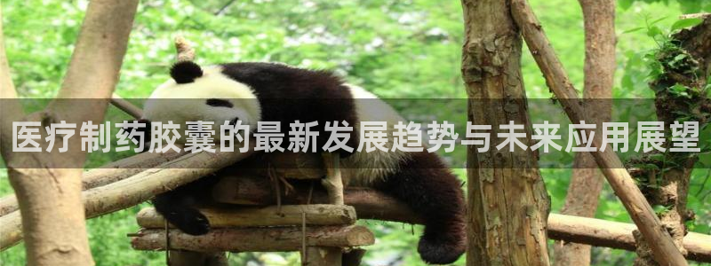门徒娱乐地5指尖