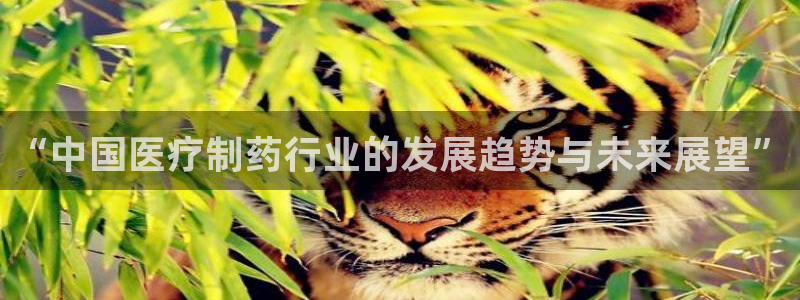 门徒搜狐娱乐