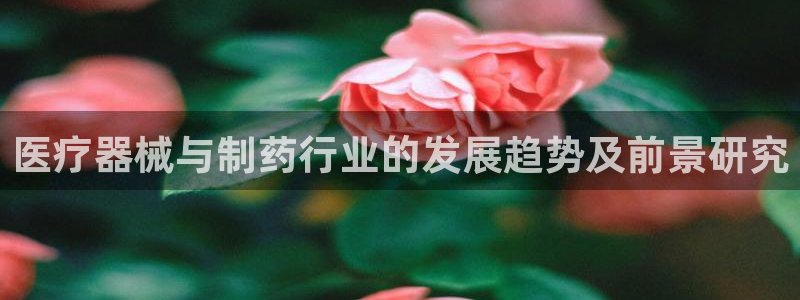 门徒娱乐老板是谁啊视频