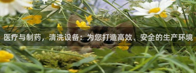 门徒娱乐注册登录