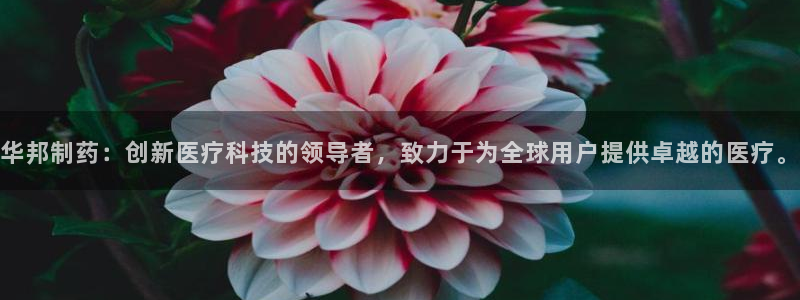门徒娱乐用户评价与反馈