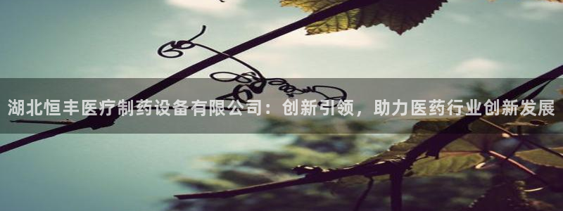 门徒娱乐线路图片高清