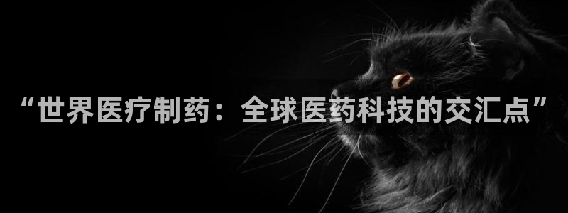门徒娱乐平台安装教程