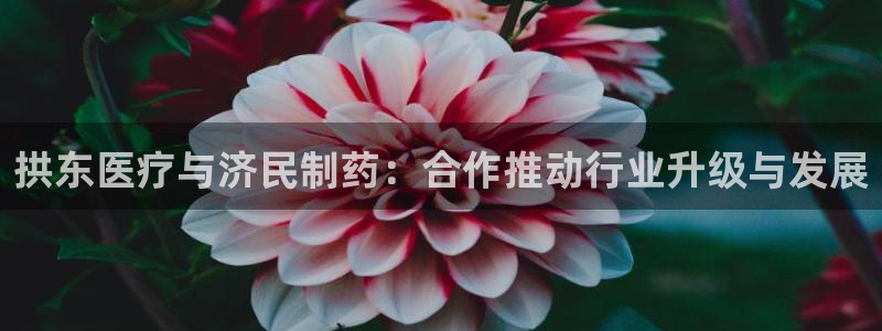 门徒娱乐里面的奖金