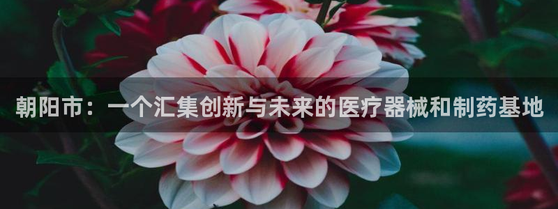 门徒娱乐排名