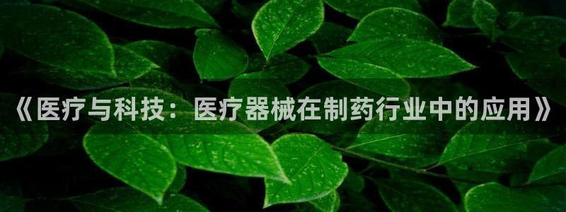 门徒娱乐怎么挂机不掉线