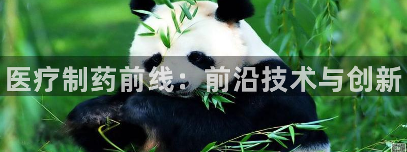 门徒娱乐门徒平台