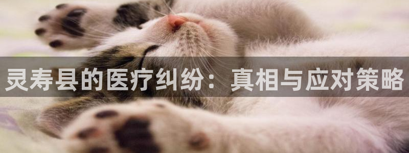 门徒娱乐怎么登录不了