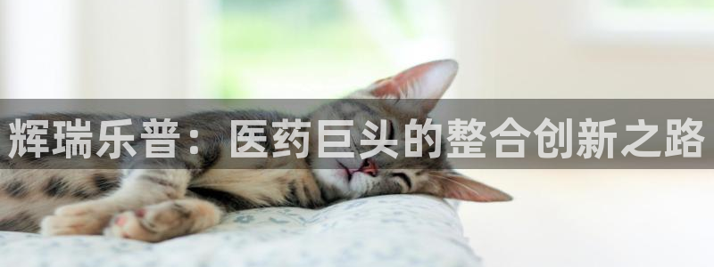 门徒彩票娱乐用户评价