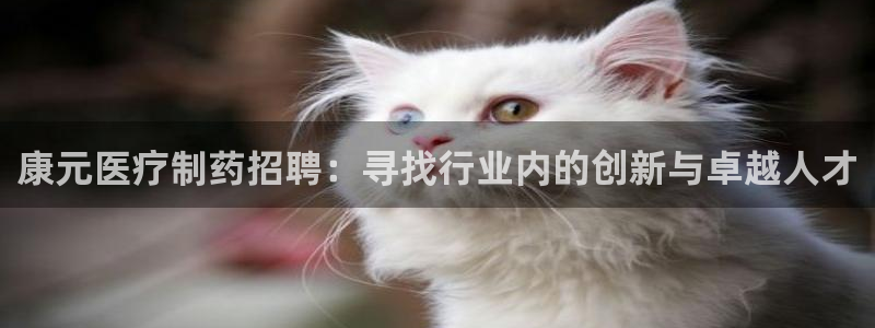 门徒娱乐平台靠谱吗