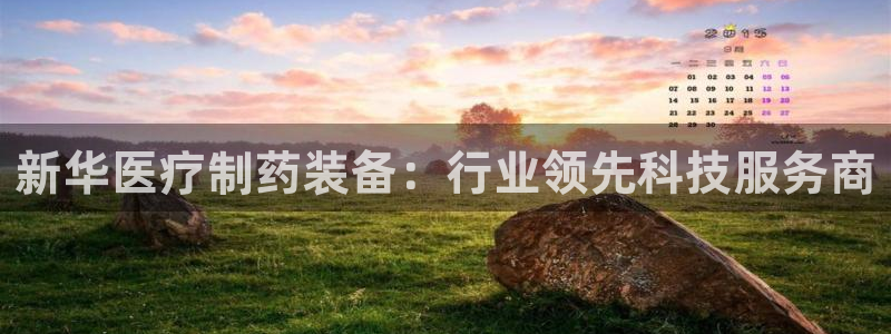 门徒娱乐计划在线观看