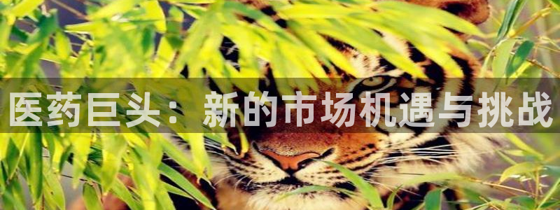 门徒娱乐左5指尖