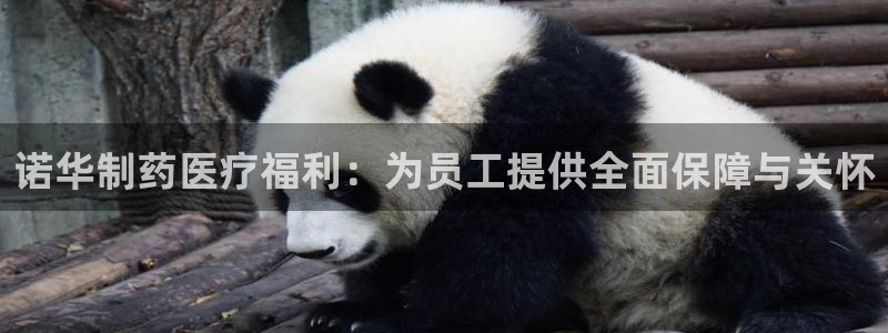 门徒娱乐系列有哪些剧