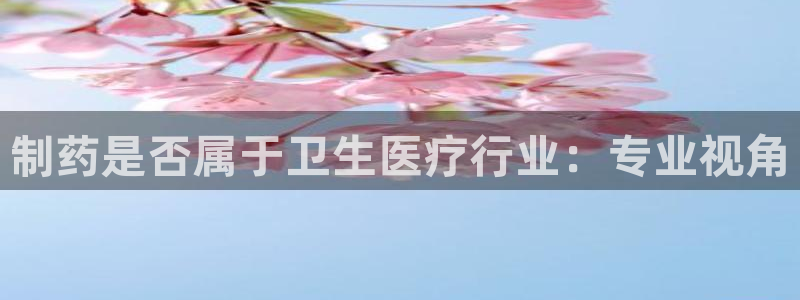 门徒娱乐十年老总身价