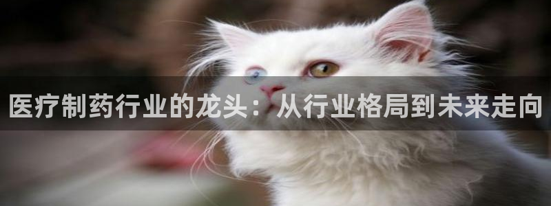 门徒娱乐官网登录入口登录不了