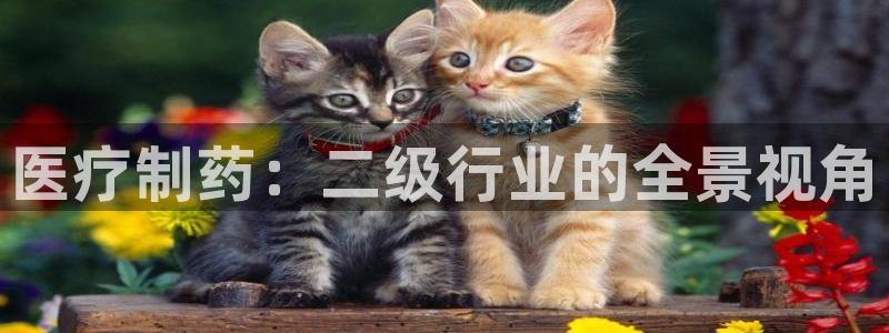 门徒娱乐挂机软件下载