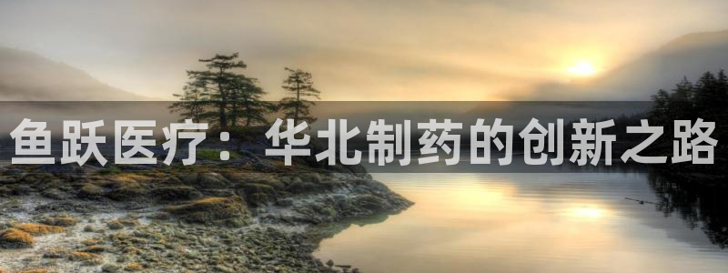 娱乐门徒完结小说网