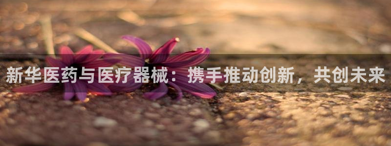 门徒娱乐注册成判官333OO