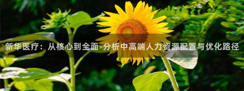 门徒娱乐联37997