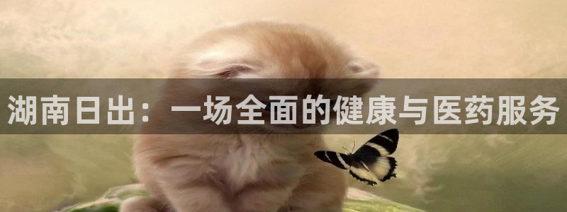 门徒娱乐主管里去判官333OO