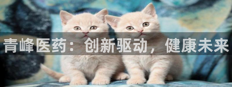 门徒娱乐总代理是谁啊