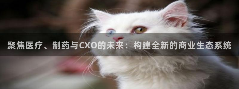 门徒娱乐主管去天神779O3