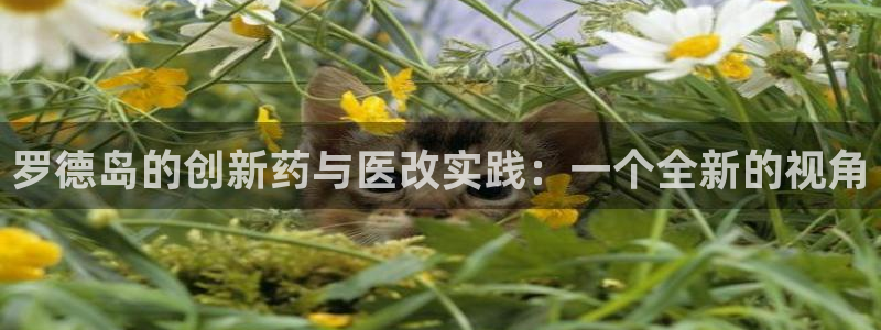 门徒娱乐线路图