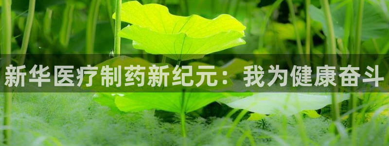 门徒娱乐黑钱怎么办