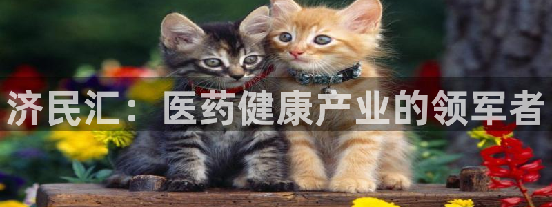 门徒娱乐系列有哪些