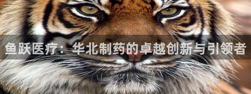 门徒娱乐主管39977l6官网